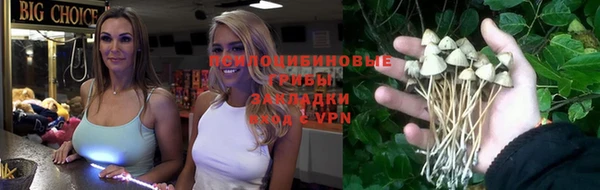 стафф Богородицк