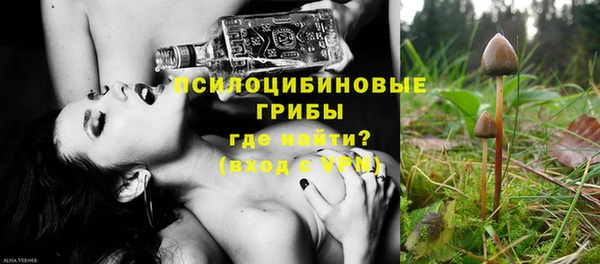 метамфетамин Богданович